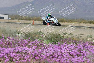 media/Feb-04-2023-SoCal Trackdays (Sat) [[8a776bf2c3]]/Turn 15 Inside Blooming (1050am)/